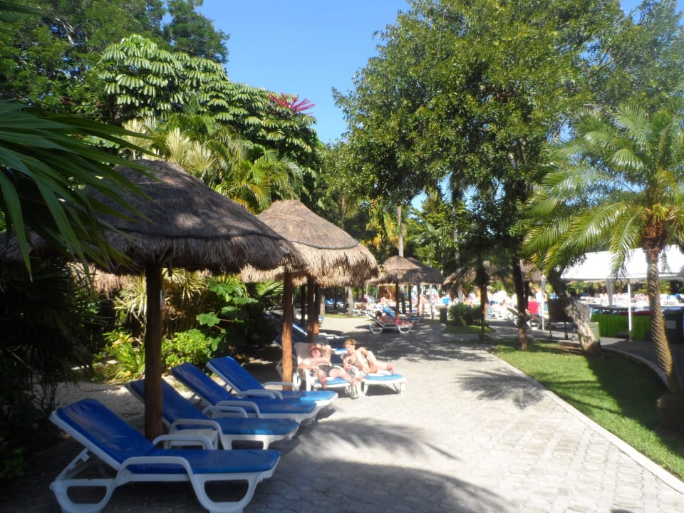 Ogród Hotel Riu Tequila