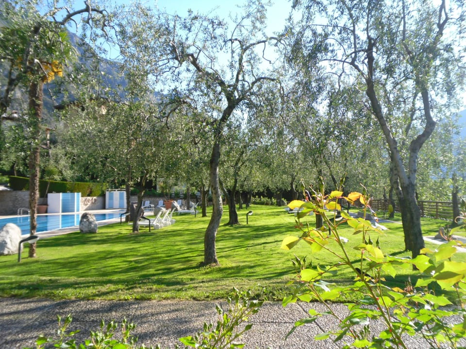 Kleiner Pool Hotel Caravel