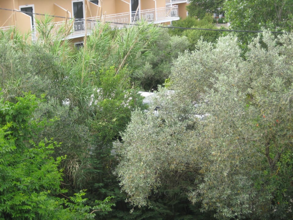 Gartenanlage Nasos Hotel & Resort