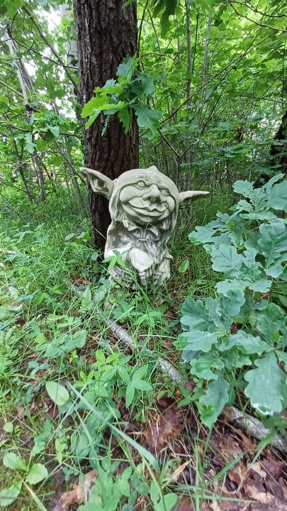 Gartenanlage Spirit & SPA Hotel Birkenhof am Elfenhain