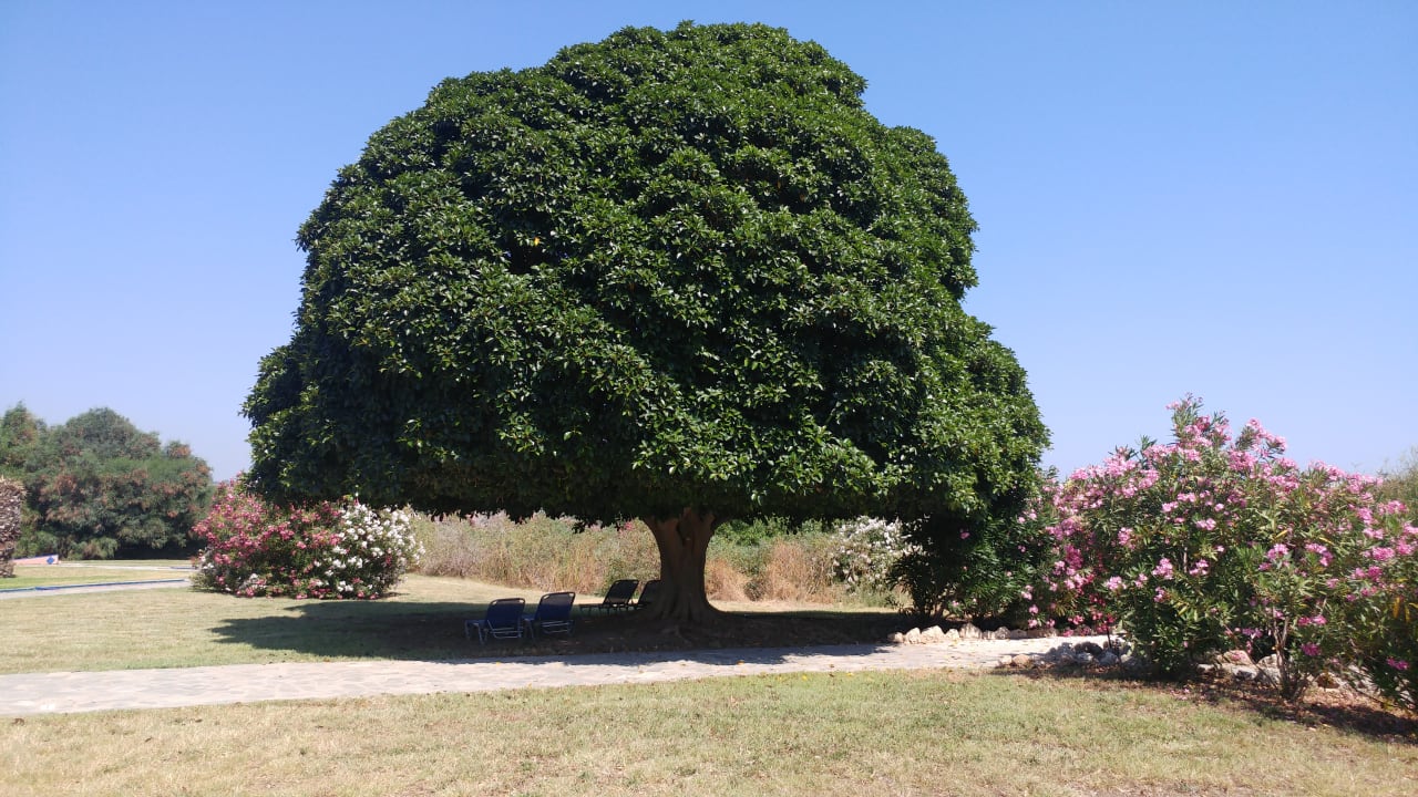 Gartenanlage Kresten Palace Hotel
