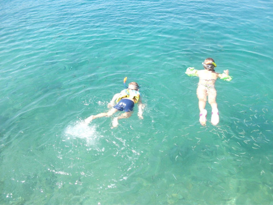 "Akwarium" w marinie Hotel Pine Bay Holiday Resort