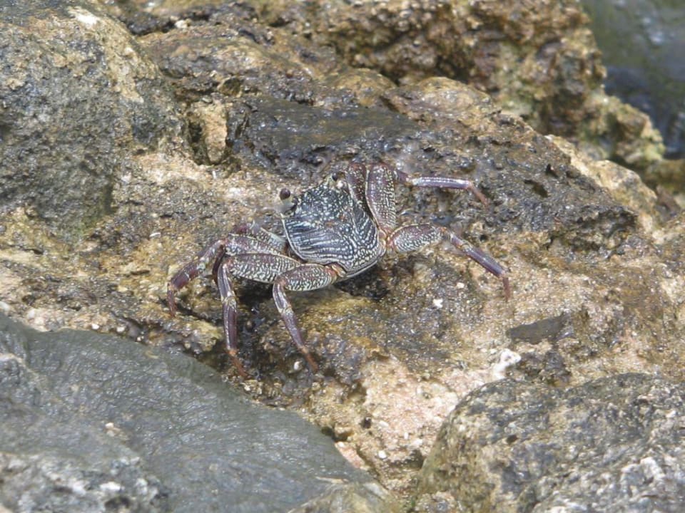 Krabben Adaaran Select Hudhuran Fushi - Premium All Inclusive