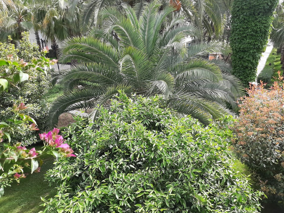 Gartenanlage Paloma Oceana