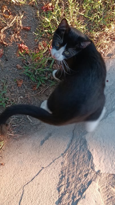Außenansicht Hotel Defne Garden