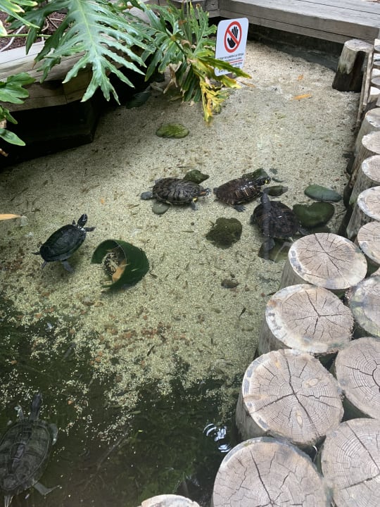 Gartenanlage Lopesan Baobab Resort