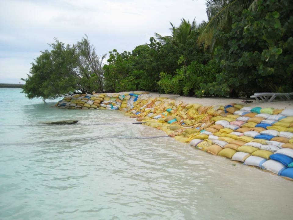 Blick von der Riffseite (Bungis 130-140) Sun Siyam Vilu Reef