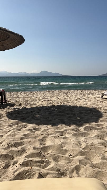 Strand TUI BLUE Palazzo del Mare