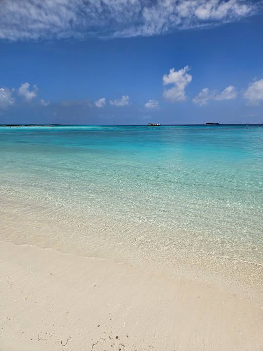 Strand Summer Island Maldives
