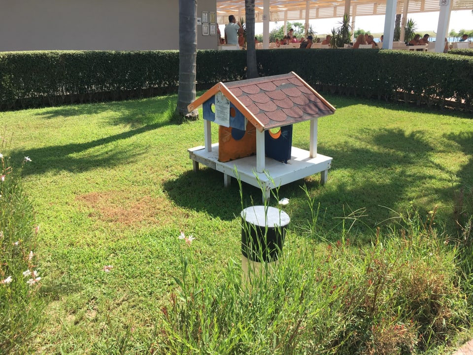 Garten Sunis Elita Beach Resort & Spa