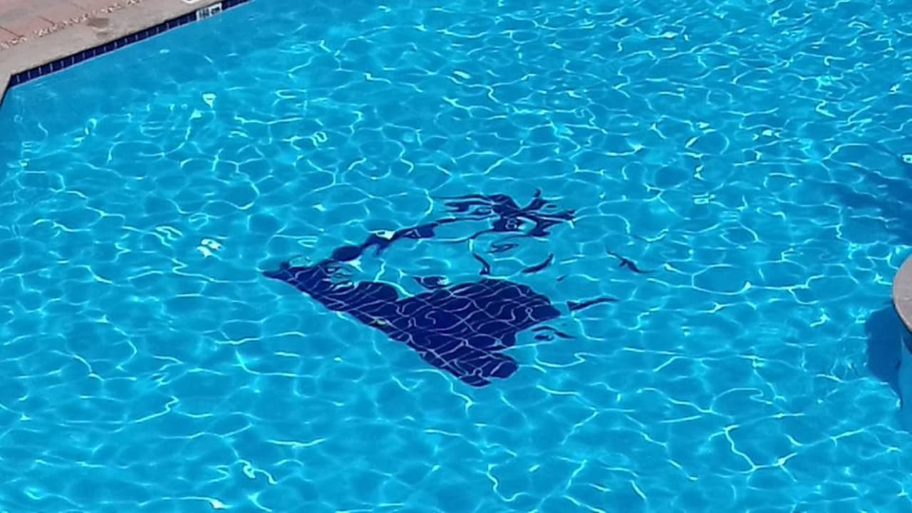 Pool Bella Vista Resort Hurghada