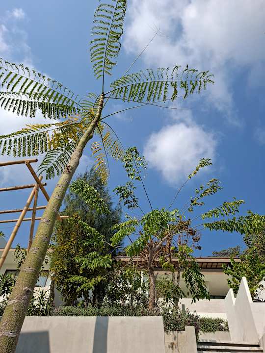 Gartenanlage Pichcha Kohlarn