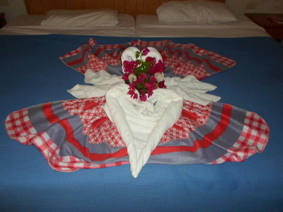 Die Putzfrau bemühte sich jeden tag Starfish Cuatro Palmas