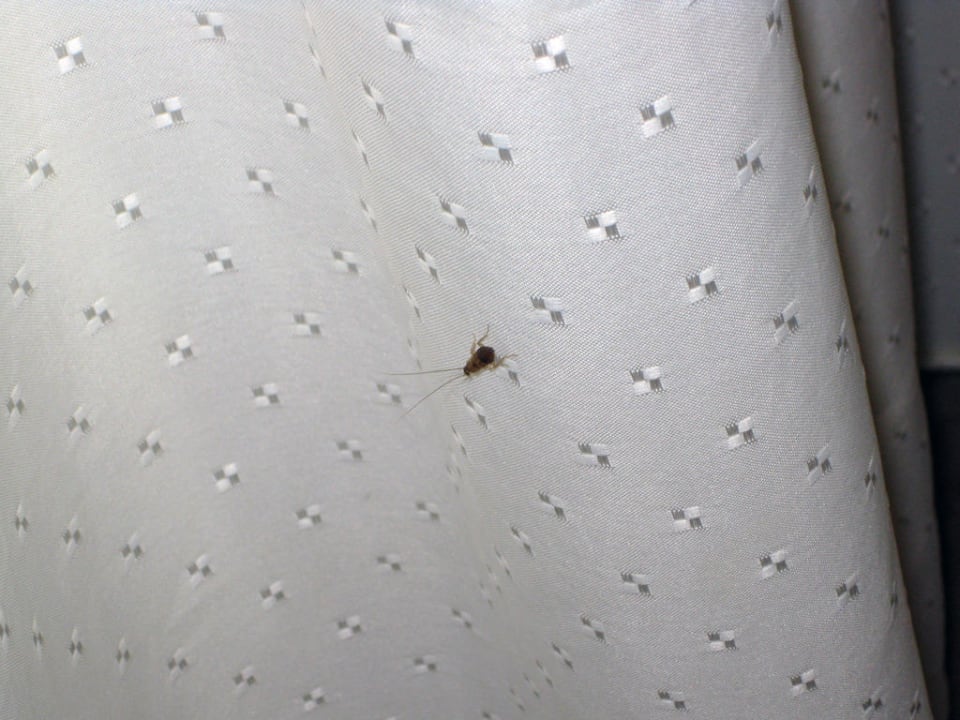 Duschvorhang HOLIDAY VILLA BEACH RESORT & SPA LANGKAWI KEDAH