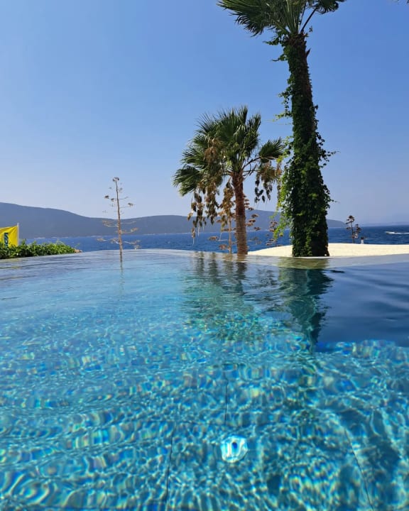 Pool TUI MAGIC LIFE Bodrum - Adult Only (16+)