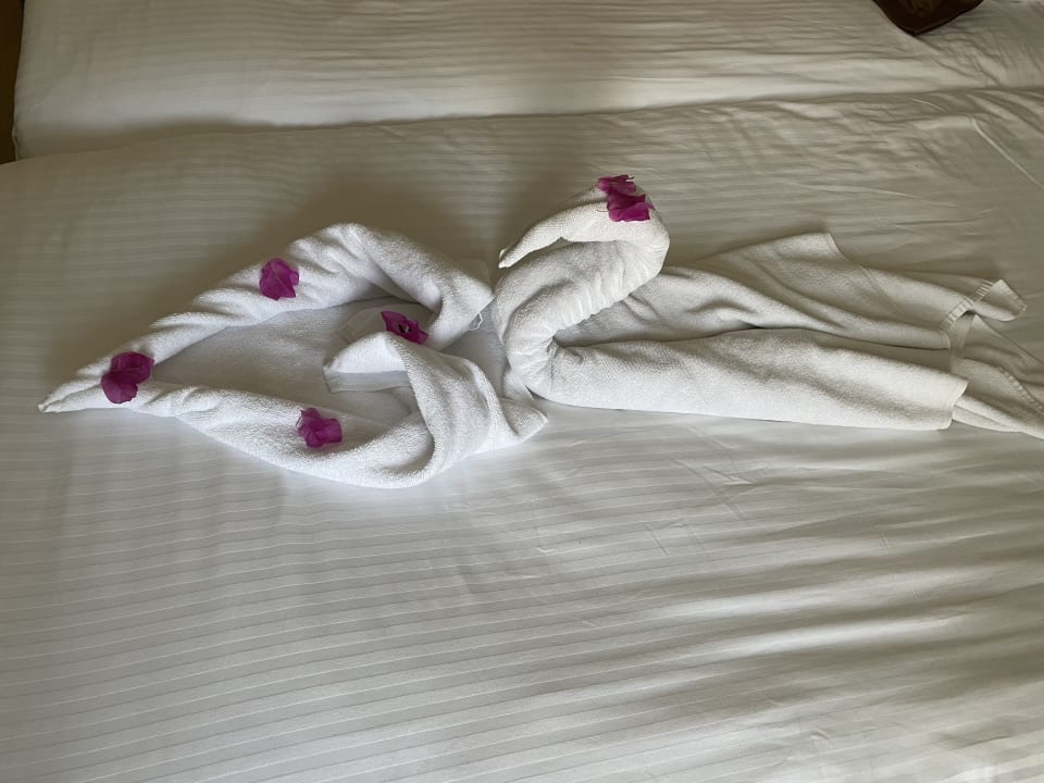 Zimmer Side Star Beach