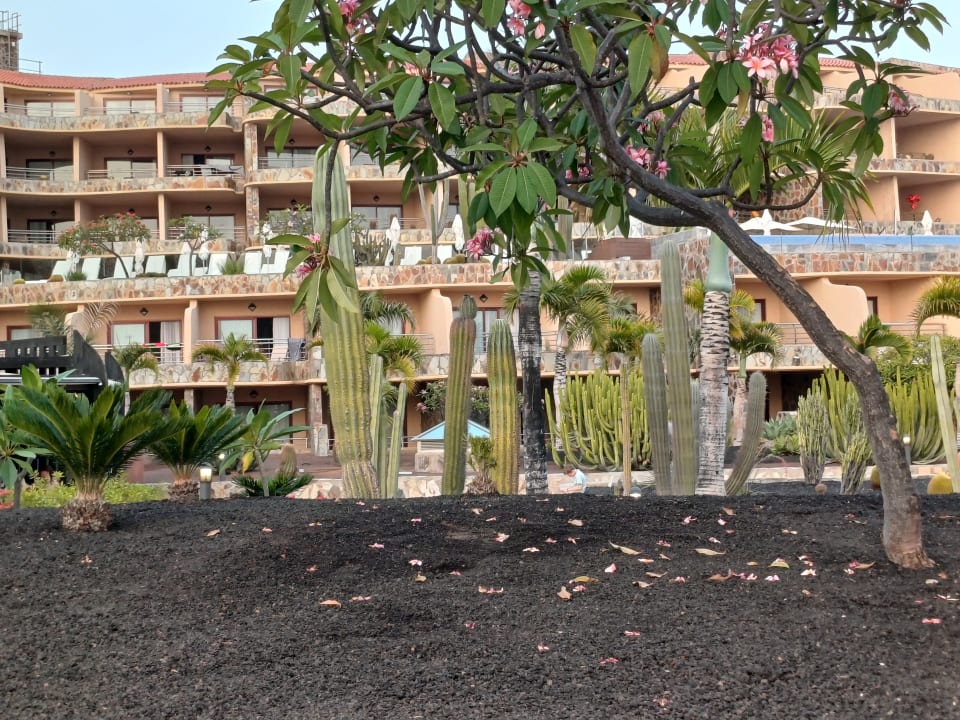 Gartenanlage H10 Playa Meloneras Horizons Collection