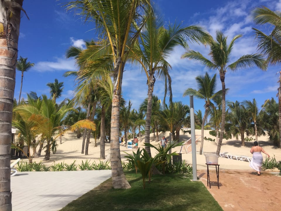 Gartenanlage Hotel Riu Republica - Adults only