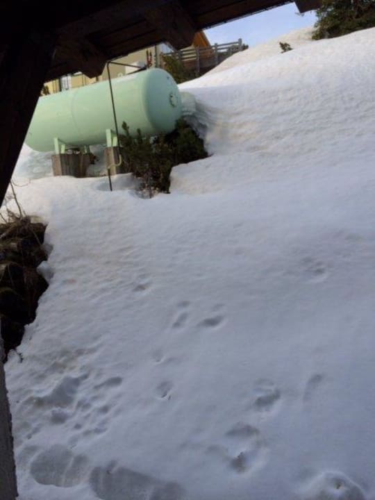 Die feine Bergwelt ALPHAtauern Health Resort - ADULTS ONLY 15+