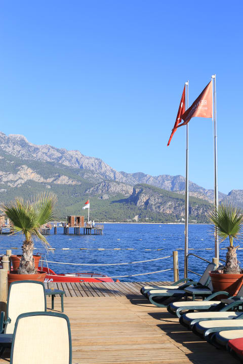 Strand Balmy Foresta