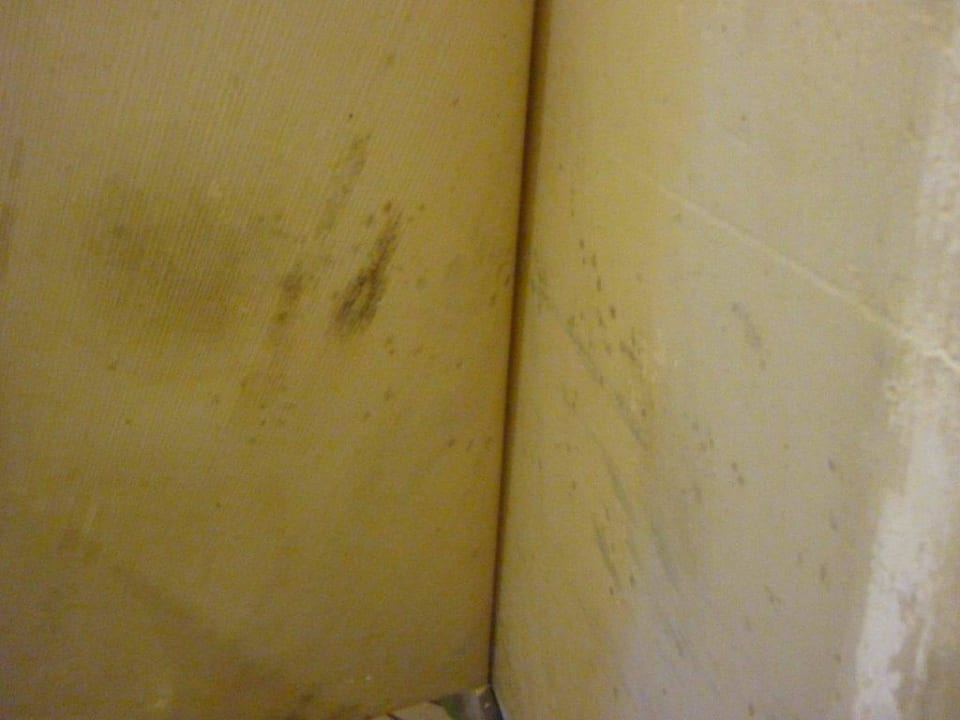 Feuchtigkeitsschäden auf dem Flur im Haus 3 Side Star Elegance