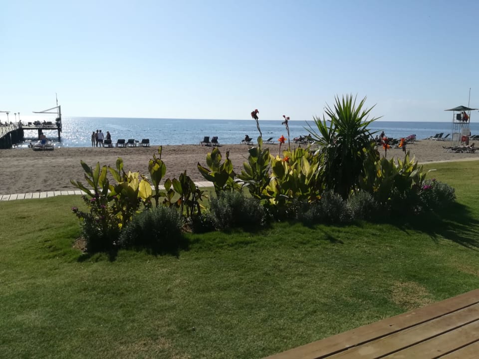 Strand IC Hotels Green Palace