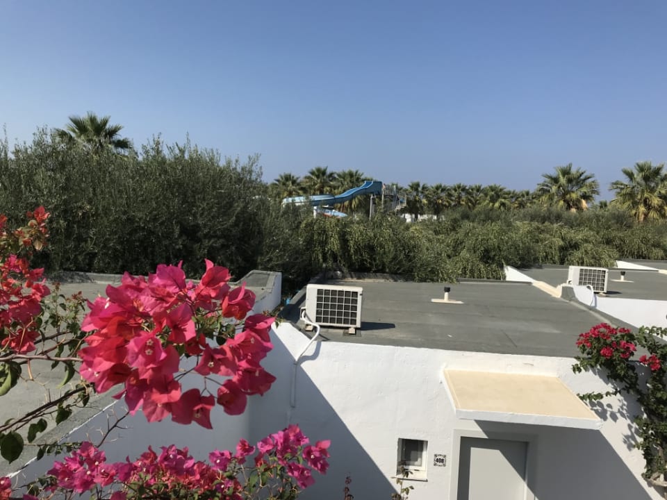 Ausblick TUI KIDS CLUB Alex Beach