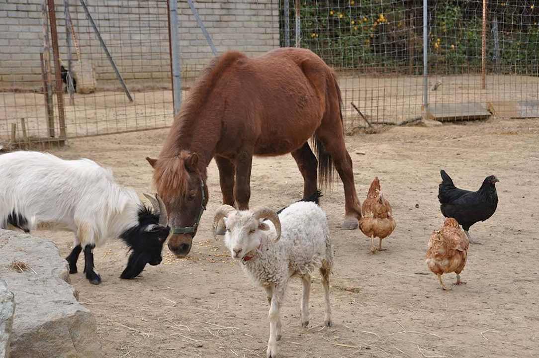Arkadenhof Arkadenhof Familie Flasch