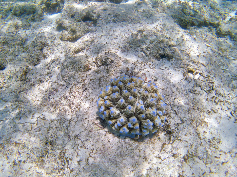 Sport & Freizeit Adaaran Select Hudhuran Fushi - Premium All Inclusive