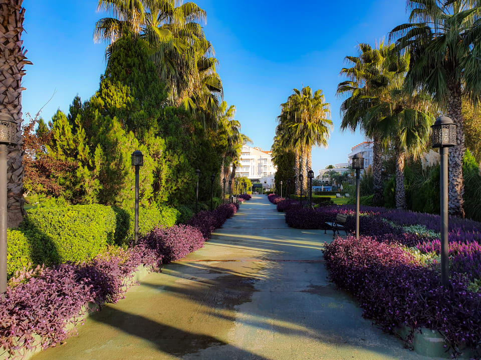 Gartenanlage Trendy Aspendos Beach Hotel