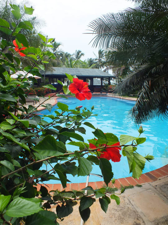 Pool Hotel Bom Bom Island Resort