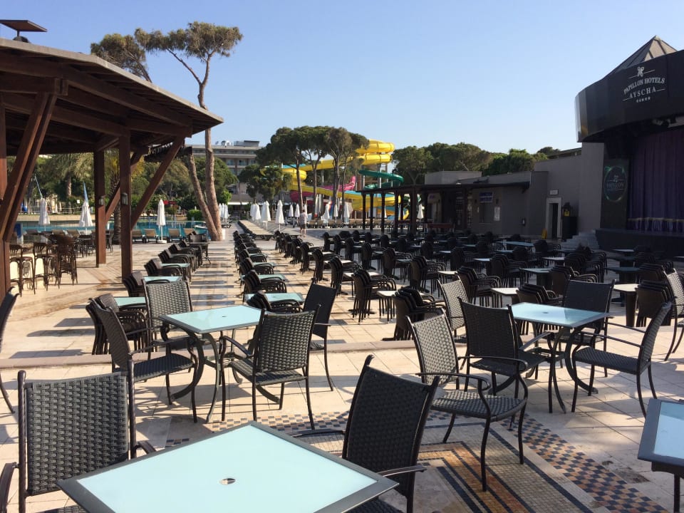 Poolbar Papillon Ayscha