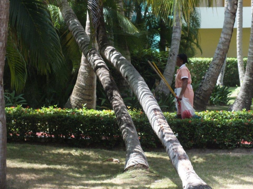 Fleisige Hotelangestellte Grand Palladium Select Bávaro Resort & Spa