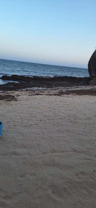 Strand Hotel El Mouradi Djerba Menzel