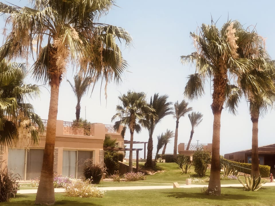 Gartenanlage Shams Prestige Abu Soma-Adults Only