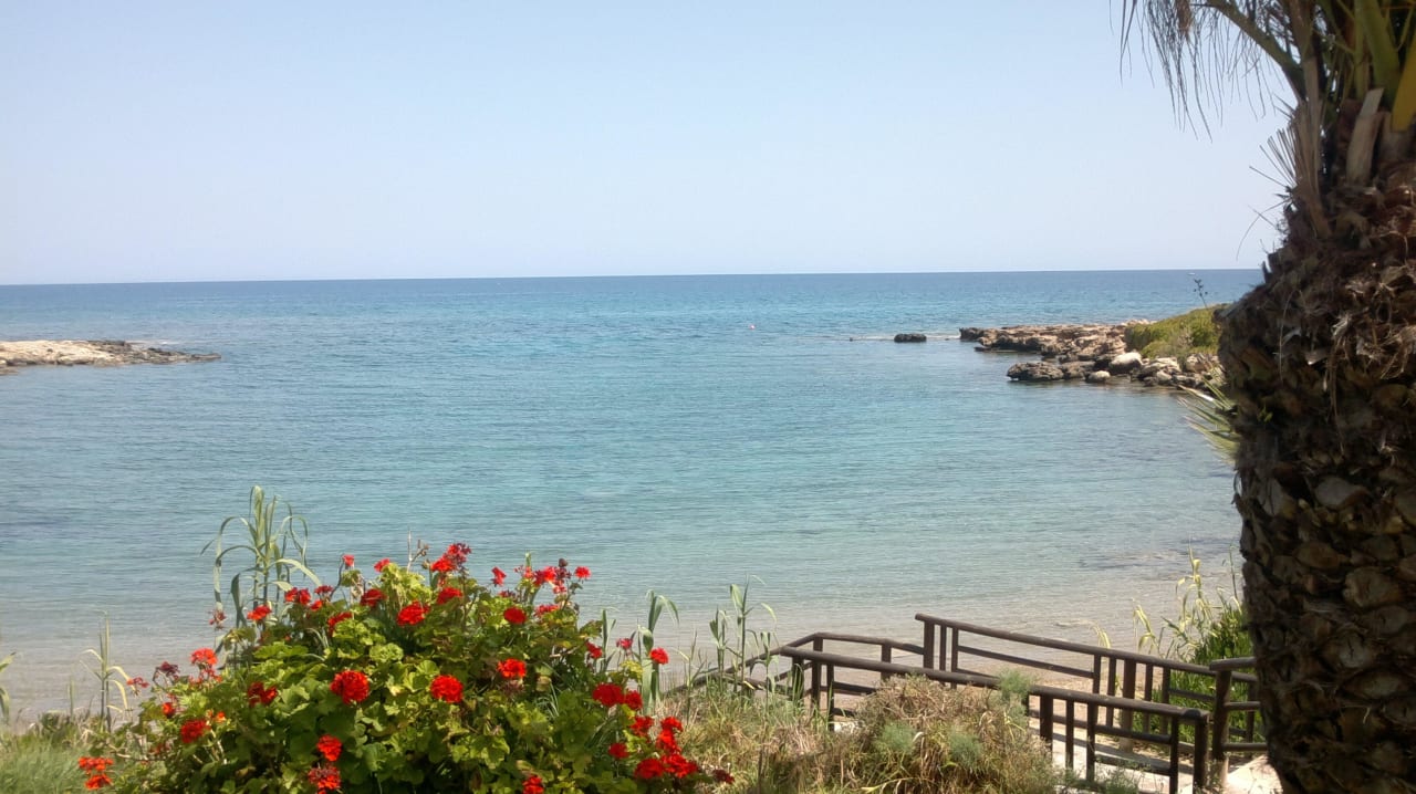 Blick aufs Meer Crystal Springs Beach Hotel