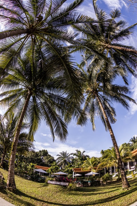 Gartenanlage Grandfather KhaoLak Resort