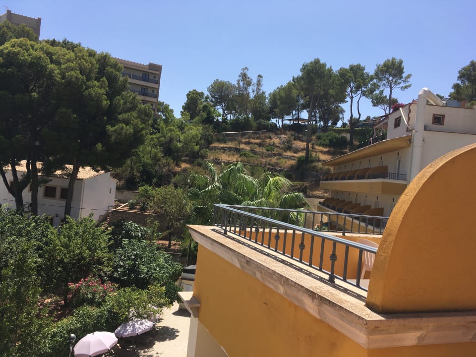 Ausblick FLOR los Almendros Hotel