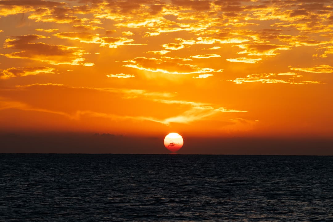 Ausblick Desert Rose
