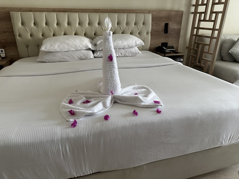 Sonstiges Steigenberger ALDAU Beach Hotel