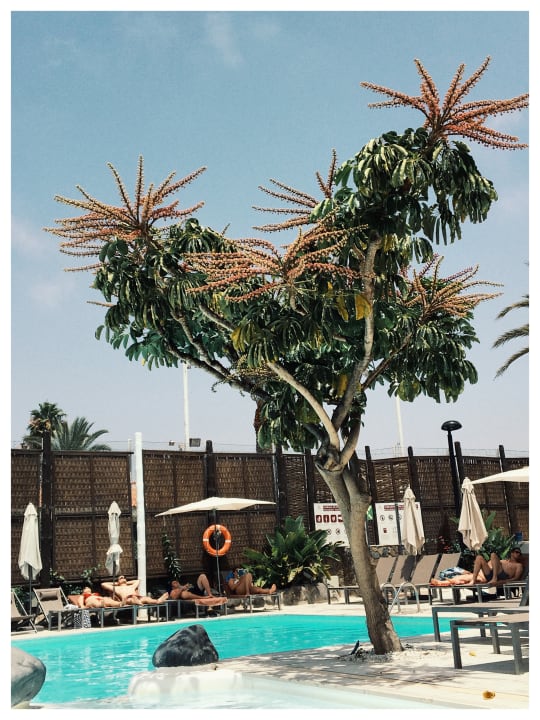 Pool Hotel LIVVO Anamar Suites