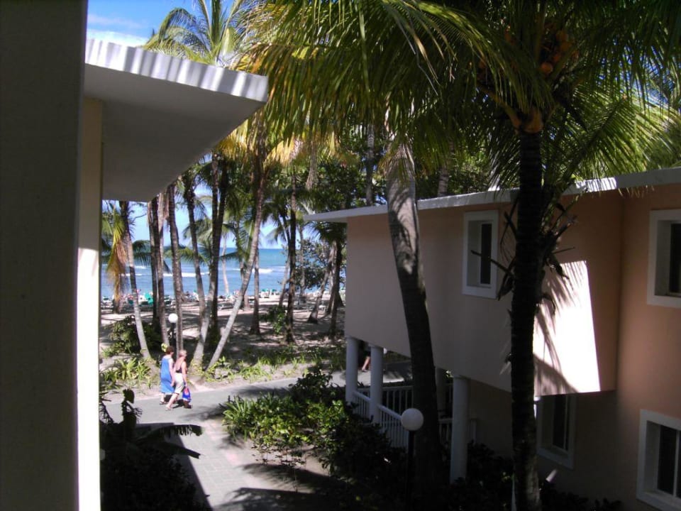 Ausblick vom Balkon unseres Zimmers Playabachata Hotel