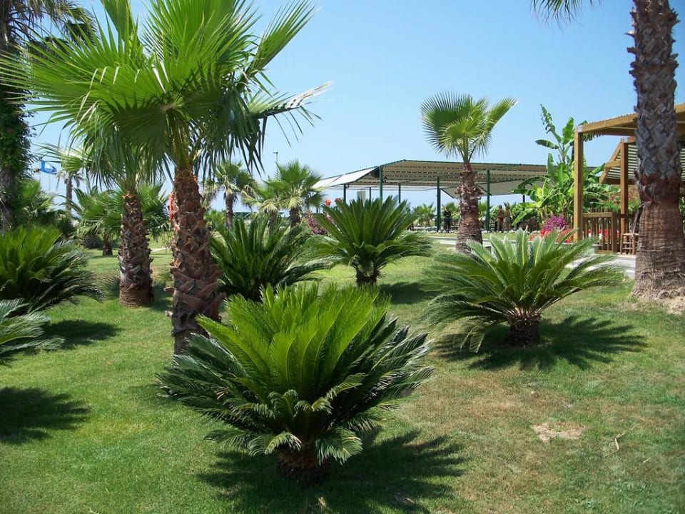 Garten VONRESORT Golden Coast