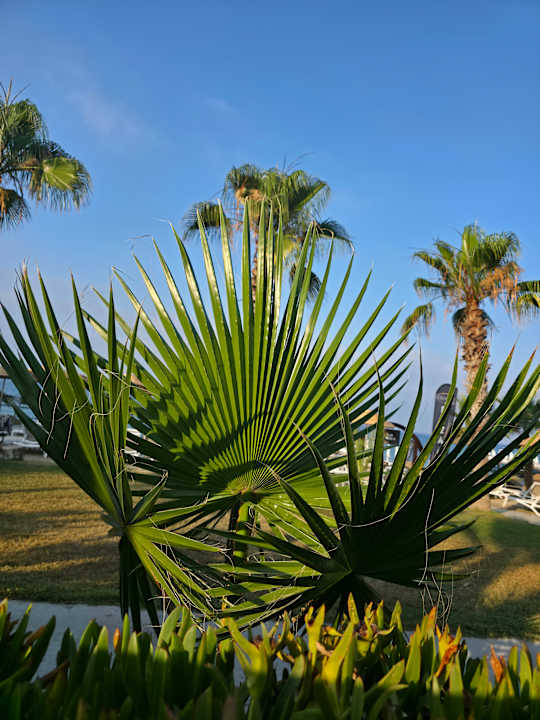 Ausblick Club Dizalya