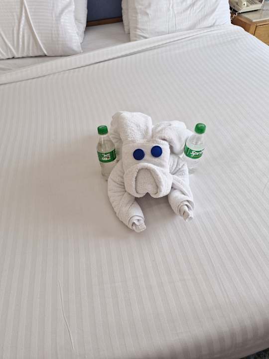 Zimmer Pharaoh Azur Resort