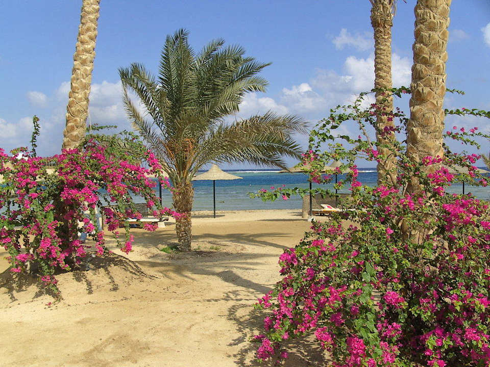 Blick auf die Bucht Brayka Bay Resort