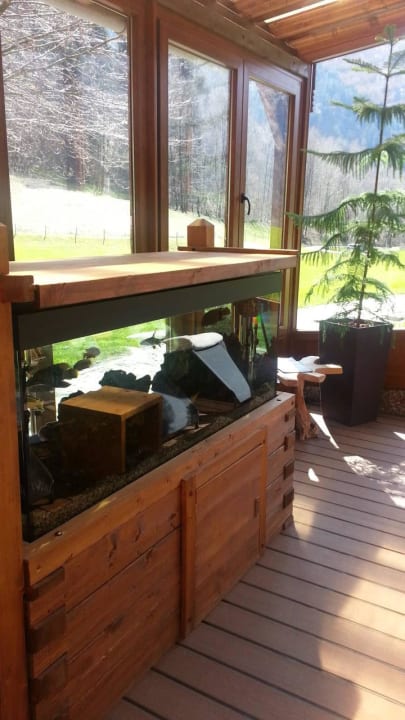 Ruhezone Sauna Hotel Seeblick