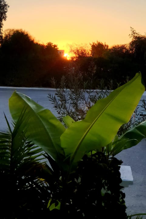 Ausblick Smy Kos Beach & Splash