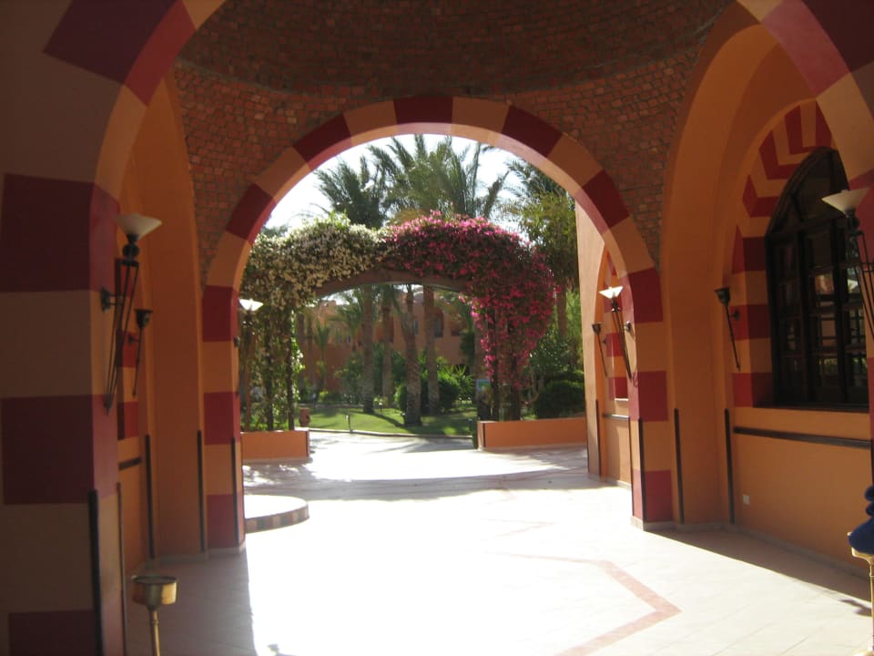 Zugang zur Chicha Bar Jaz Makadi Oasis Resort