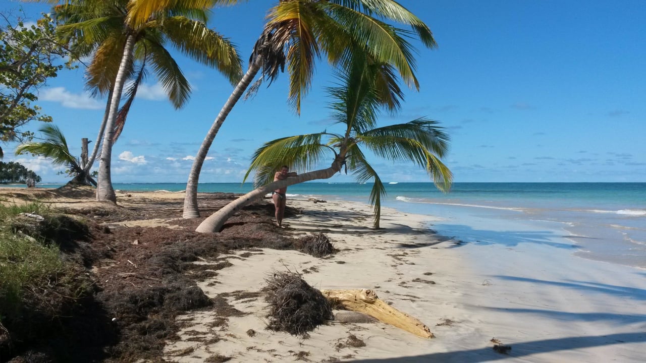 Traumstrand links vom Hotel Bahia Principe Grand El Portillo